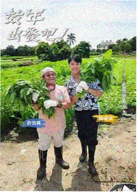 中国好声音 神马电影院在线观看